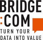 bridge:com Logo